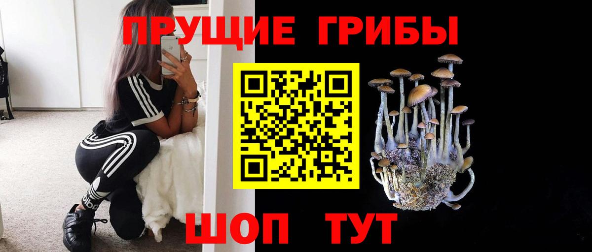 Магадан  Псилоцибиновые грибы Psilocybine cubensis  купить   Вход с VPN 